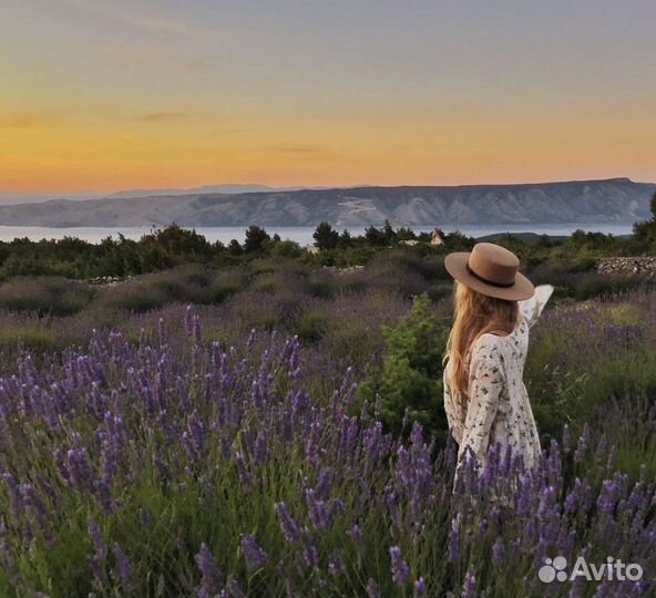Шляпа фетровая Fallen Broken Street
