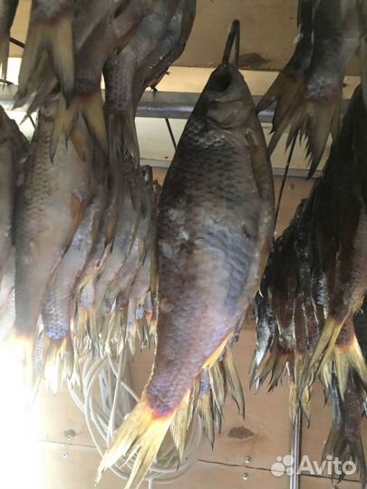 Астраханская вобла