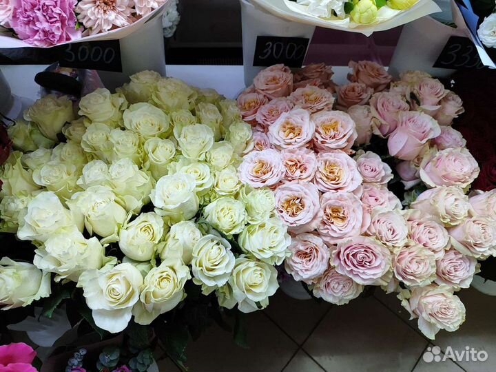 Розы тамбов доставка