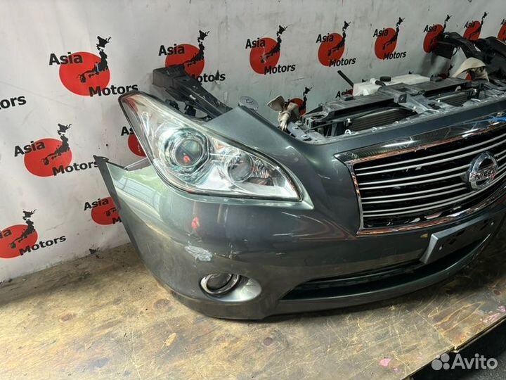 Nose cut Nissan Fuga KNY51 VQ37HR