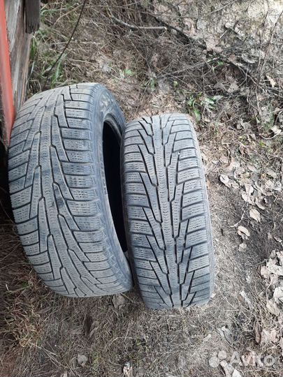 Nordman WR 205/55 R16