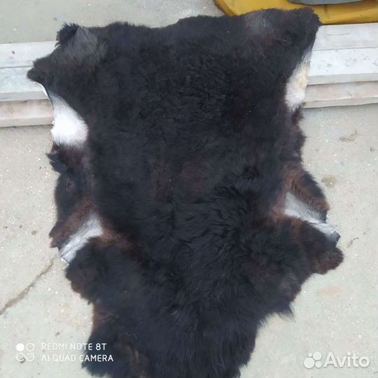 Шкурки овечьи