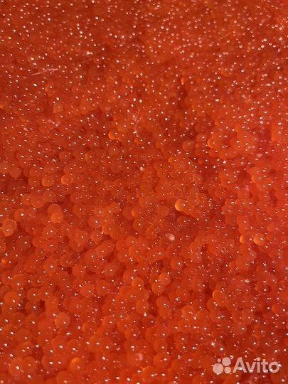 Красная икра2023