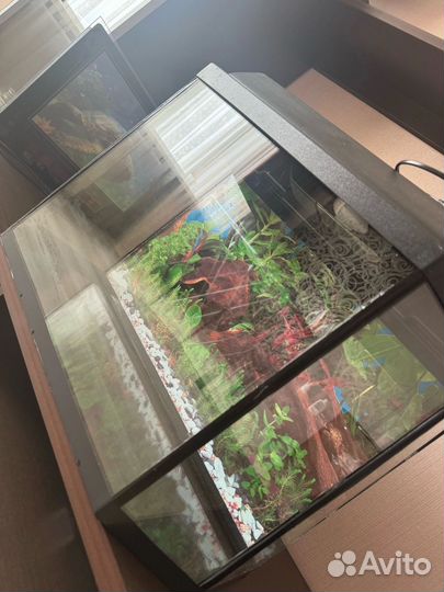 Аквариум