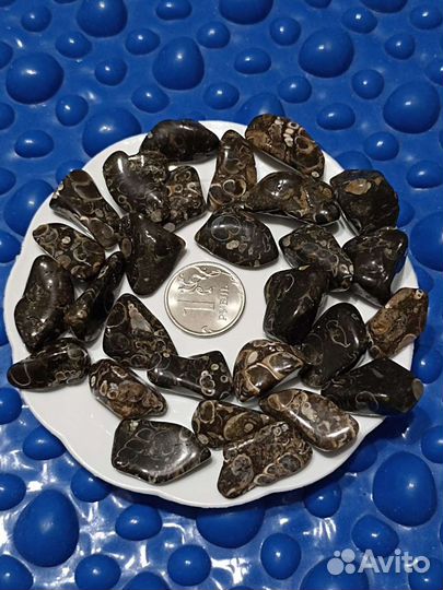 Агат черепаховый