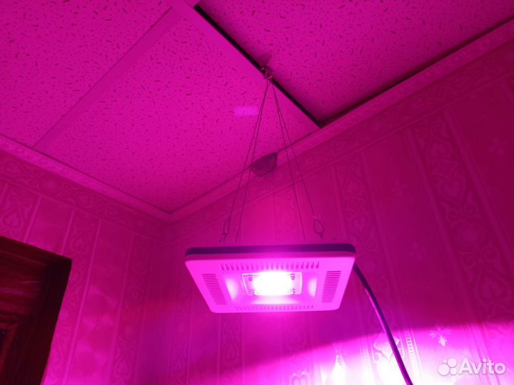 Фитолампа прожектор Эра 50W