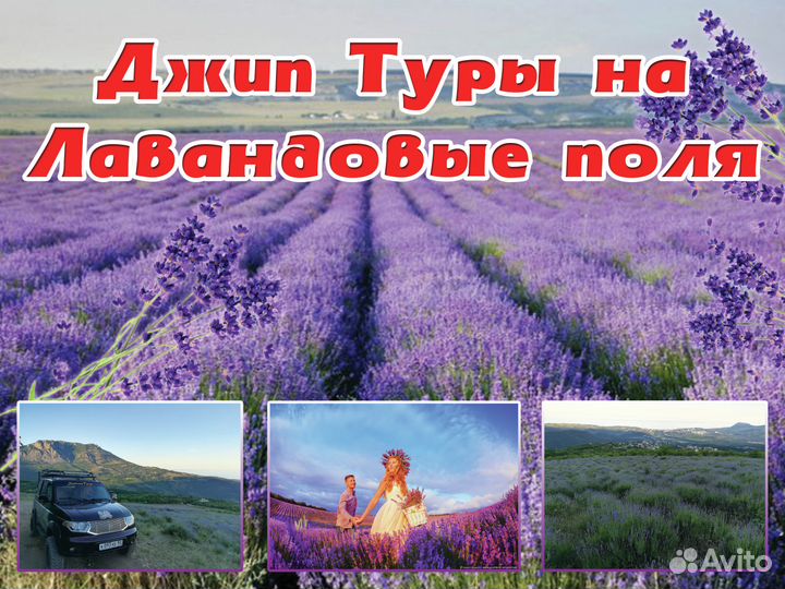 Экскурсии на лавандовые поля Крыма