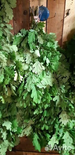 Веники дуб береза с доставкой