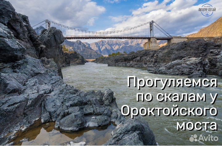 Туры на Алтай: Алтай 2024
