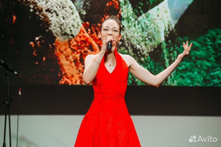 Переделка песен, запись песен