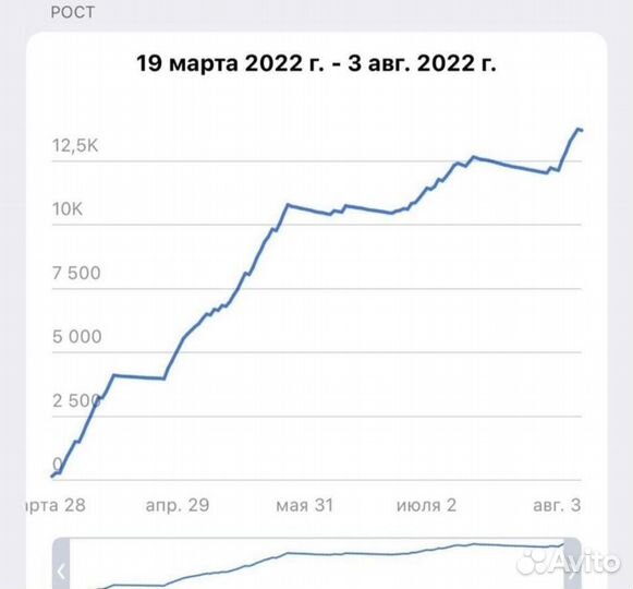 Продвижение телеграм, целевые подписчики