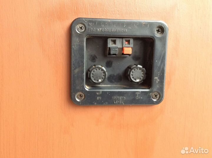 Ас Колонки Радиотехника S 90 B Radiotehnika