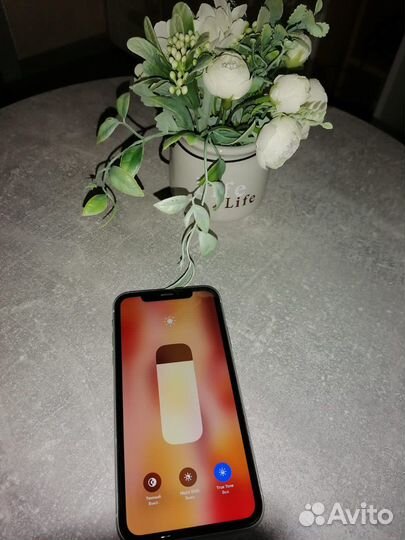 Apple iPhone Xr