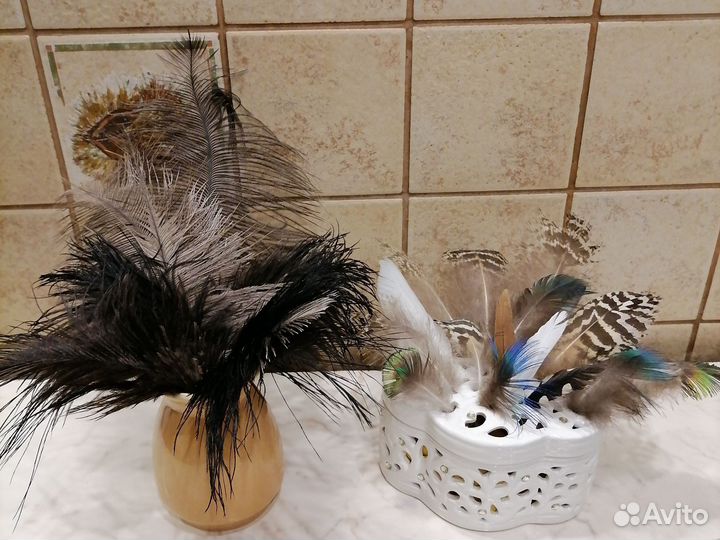 Перья страуса и павлина