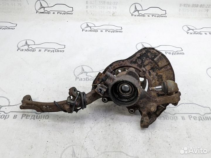 Кулак поворотный передний левый w220 S-class 11