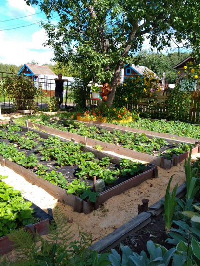 Дача 24 м² на участке 7 сот.