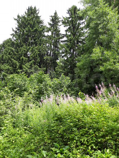 Участок 7,5 га (ИЖС)