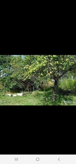 Участок 4 сот. (СНТ, ДНП)