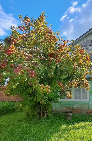 Дом 40 м² на участке 3 сот.