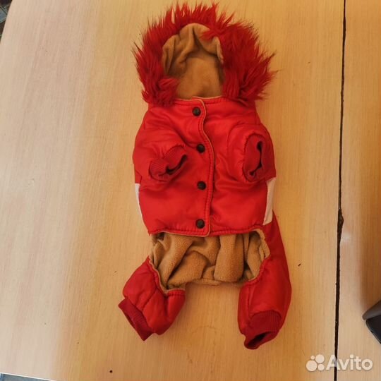 Куртка для собак мелких пород