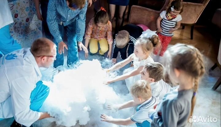 Химическое шоу Научное шоу Крио-шоу профессор шоу