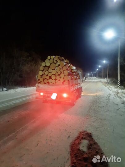 Дрова сухая лиственница, сосна