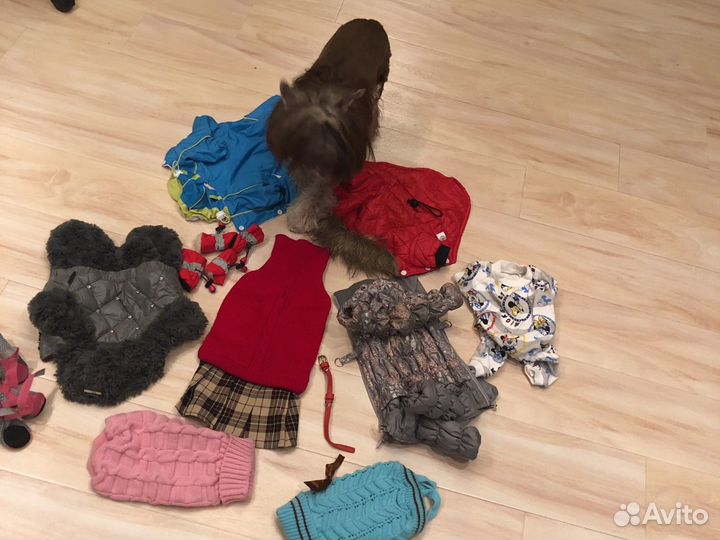 Сумка-переноска для животных