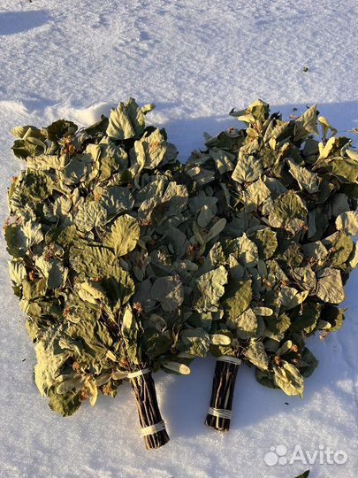 Веники для бани