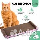 Когтеточка 