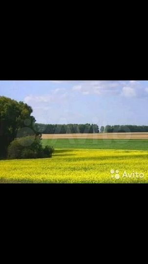 Участок 4,9 га (СНТ, ДНП)