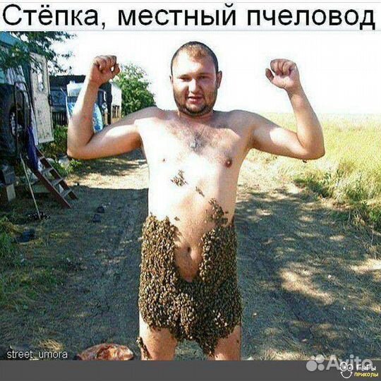 Пчелы, пасека