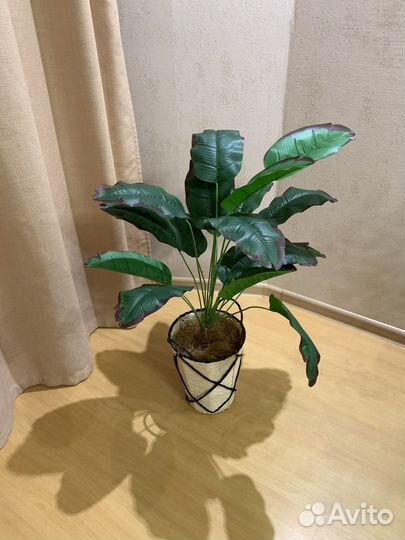 Стрелиция искусственная (банановая пальма)