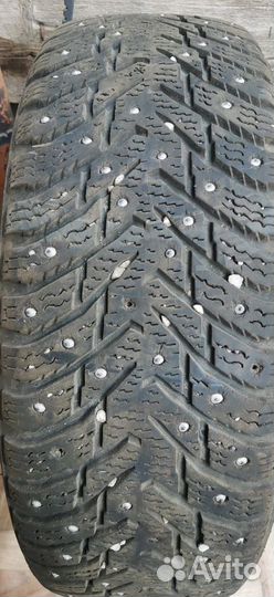 Nokian Tyres Hakkapeliitta 8 175/65 R14