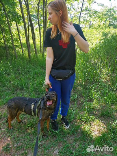 Трусливая Феня тяжело выживает в приюте