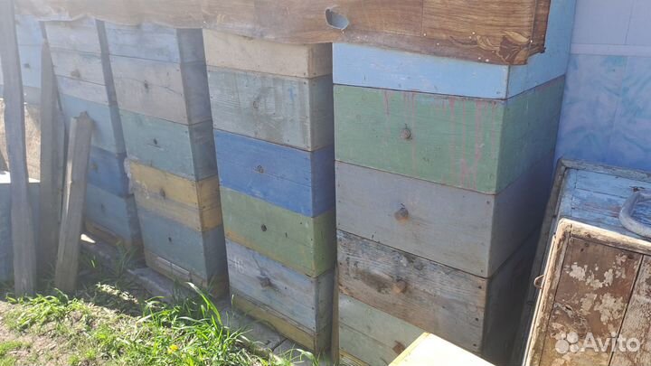 Ящики для пчел