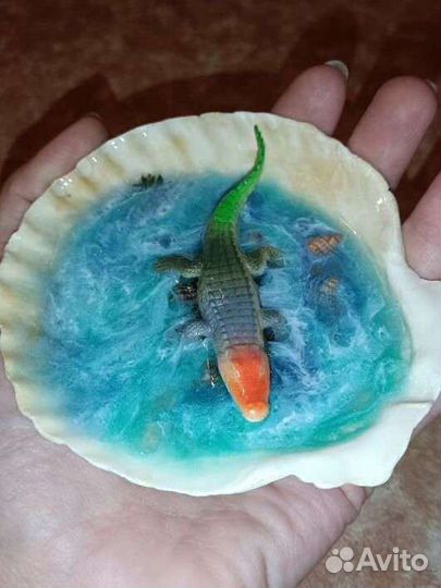 Декоративная ракушка