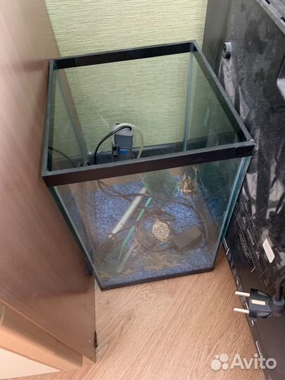 Аквариум