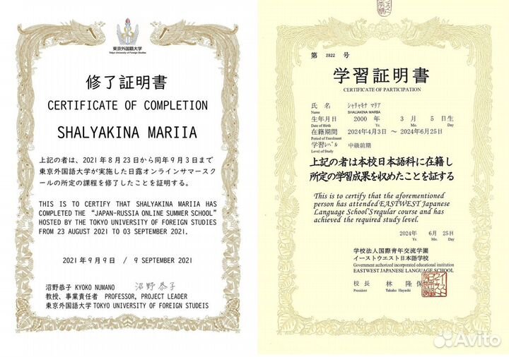 Репетитор по японскому/английскому языку + перевод