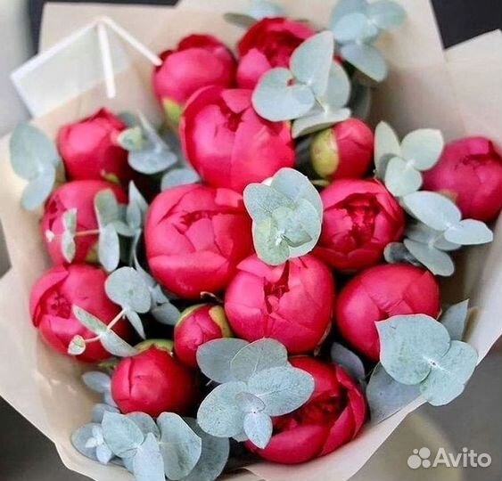 Пионы Цветы Доставка