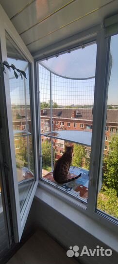 Котобалкончик, Балкончик для кошки на окно