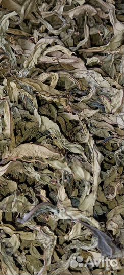 Липа, череда, Иван-чай,шалфей,ромашка,чабрец, мята