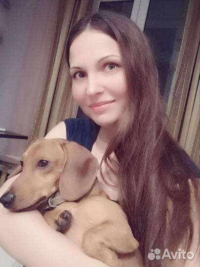 Передержка животных/собак/кошек, зооняня, присмотр