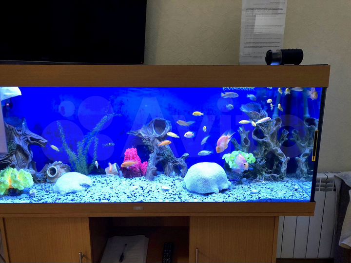 1-к. квартира, 55 м², 6/10 эт.