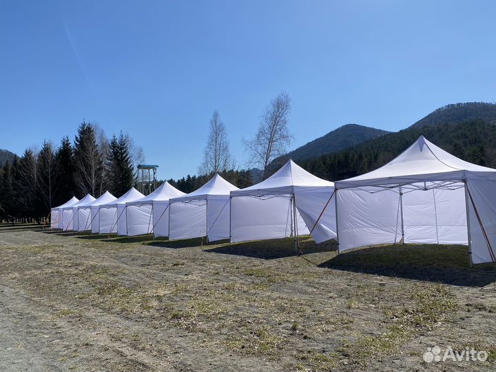 Палатка в аренду