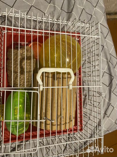 Клетка для грызунов