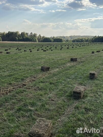 Сено с диких полей