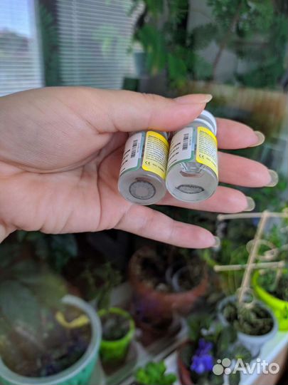 Цветные (серые)контактные линзы(1 пара в наличии)