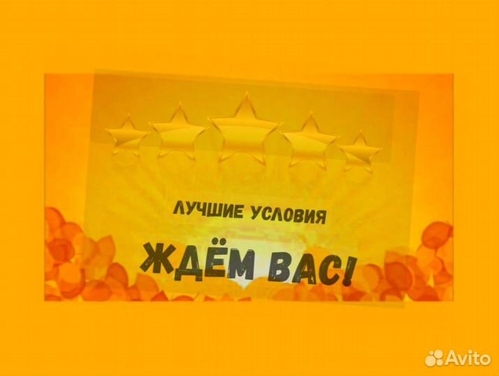 Наборщик заказов Без опыта Еженедельные выплаты