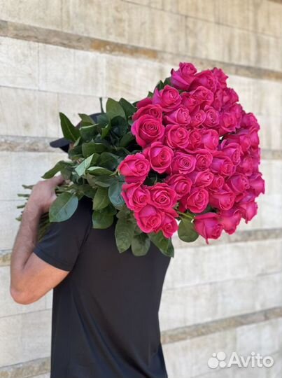 101 51 голландия роза