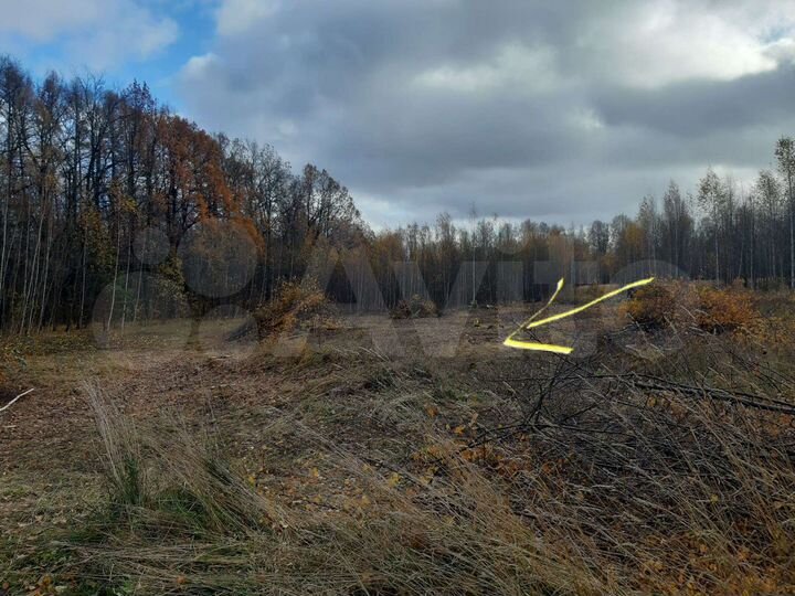 Участок 35 сот. (СНТ, ДНП)